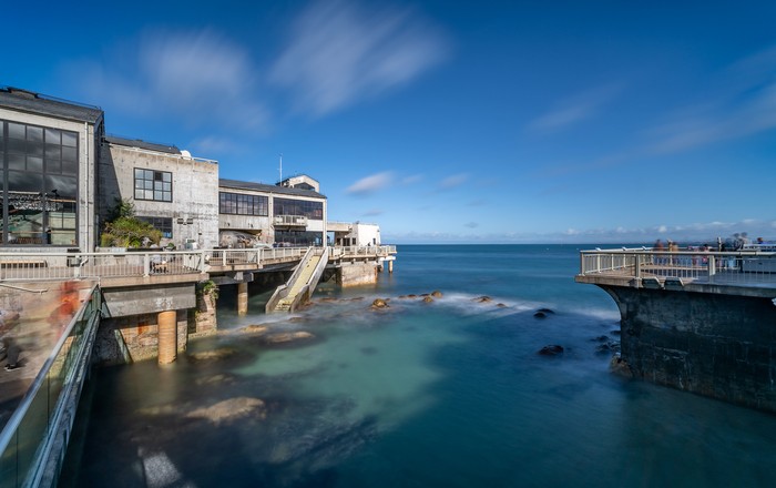 蒙特利湾水族馆海獭展区（Monterey Bay Aquarium sea otter exhibit）