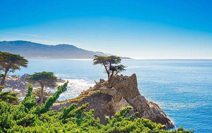 17英里海岸线Lone Cypress独柏树（Lone Cypress on 17-Mile Drive Pebble Beach）